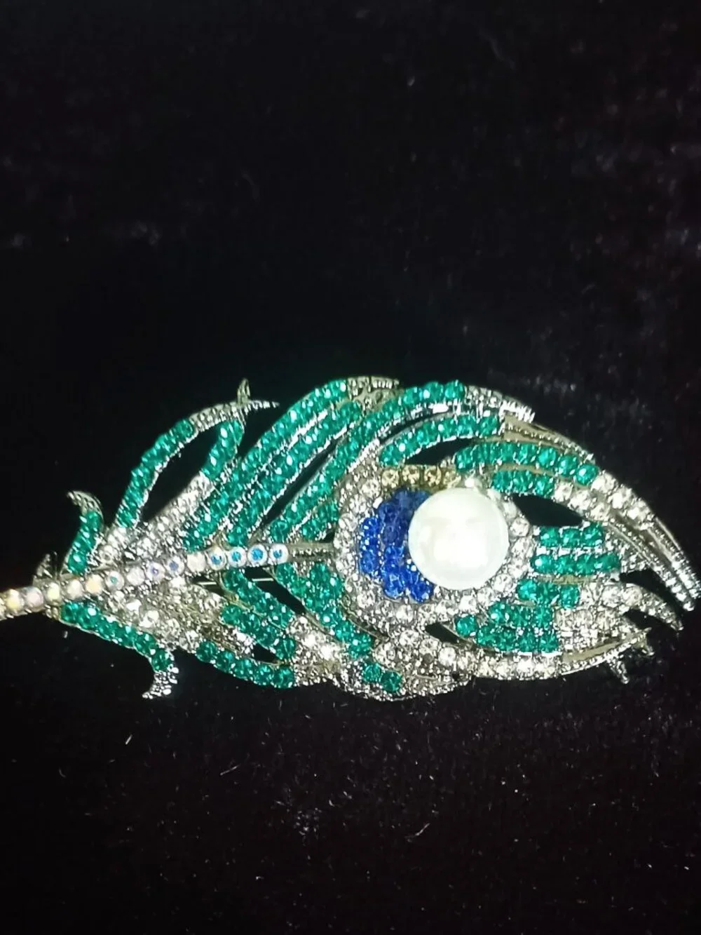 Gorgeous Feather Brooch
